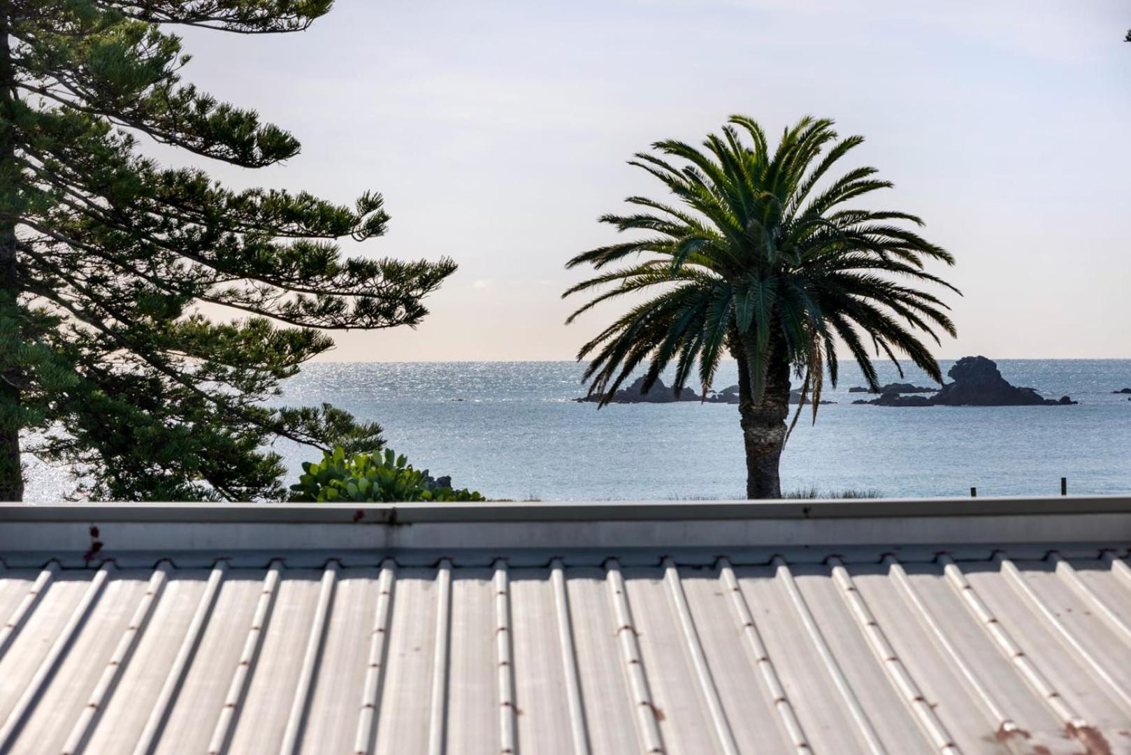 Pacific Escape - Downtown, Beach & Sea Views Маунт-Маунгани Экстерьер фото